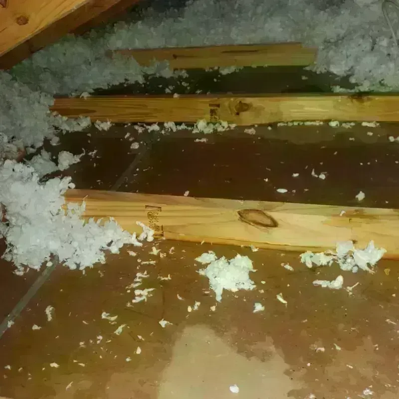 Attic Water Damage in Cortez, FL