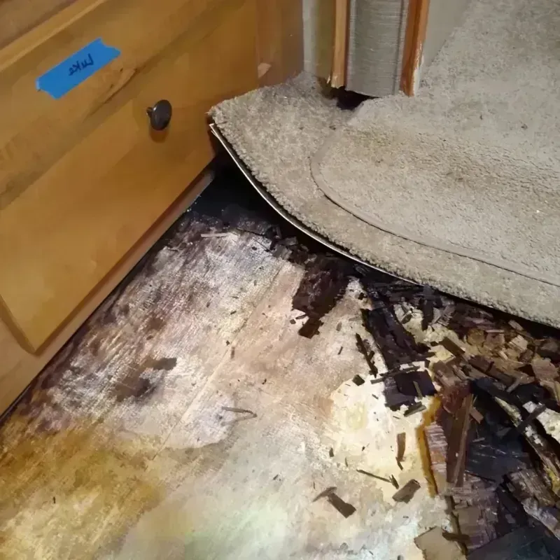 Wood Floor Water Damage in Cortez, FL